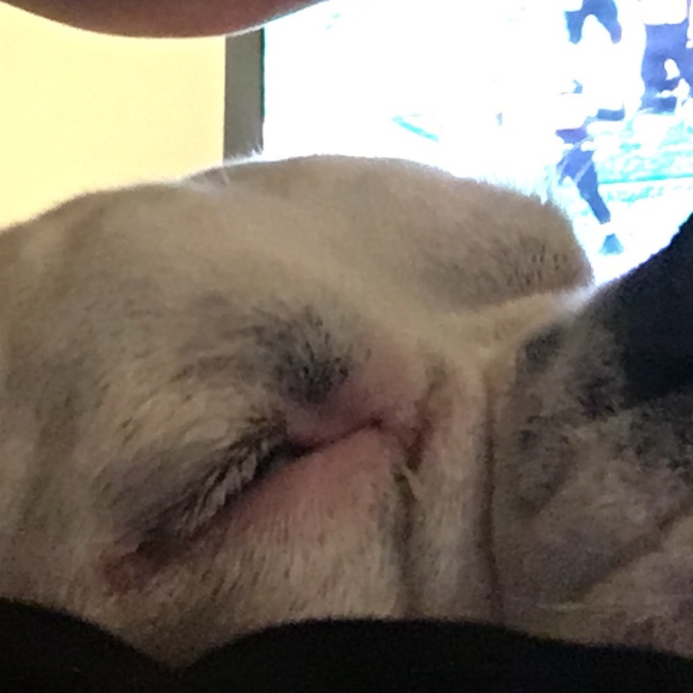 Meet your Posher, Melanie